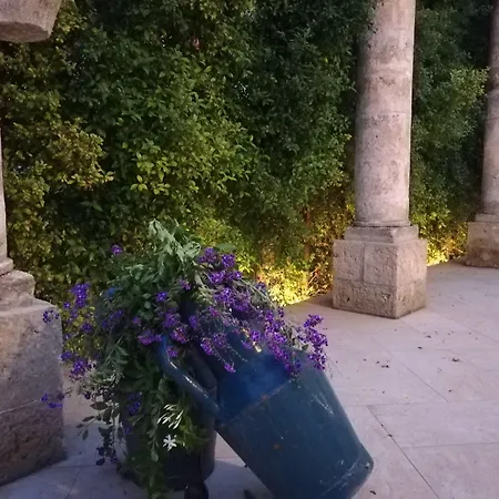 Bed & Breakfast Agora & 4*