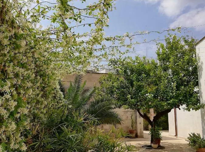 Agorà Suites&apartments Alojamento de Acomodação e Pequeno-almoço Manduria