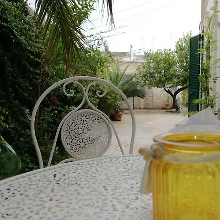 Agora & מנדוריה