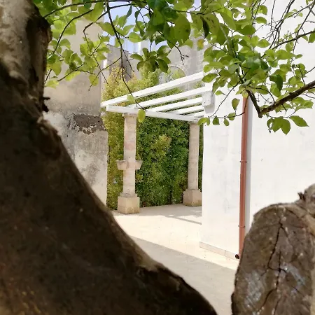 Agora & לינה וארוחת בוקר 3*