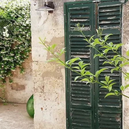 Agora & 4*